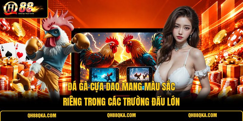 Đá Gà Cựa Dao Mang Màu Sắc Riêng Trong Các Trường Đấu Lớn