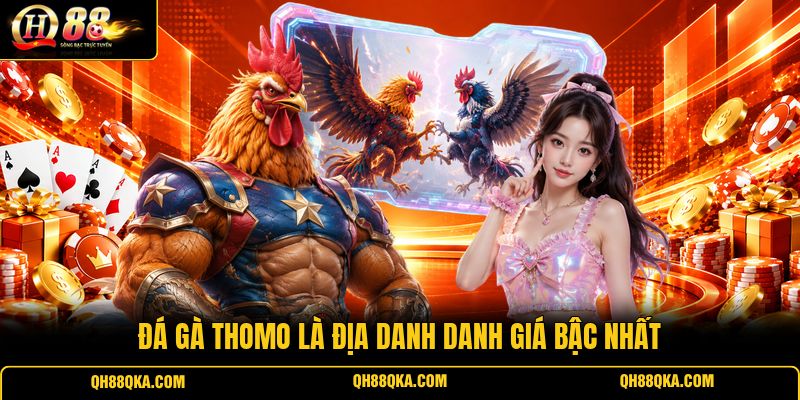Đá gà Thomo là địa danh danh giá bậc nhất Đá gà Thomo là địa danh danh giá bậc nhất