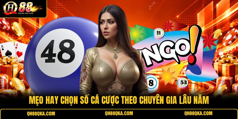 Mẹo hay chọn số cá cược theo chuyên gia lâu năm