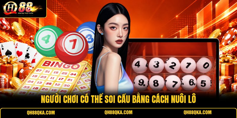 Người chơi có thể soi cầu bằng cách nuôi lô Người chơi có thể soi cầu bằng cách nuôi lô