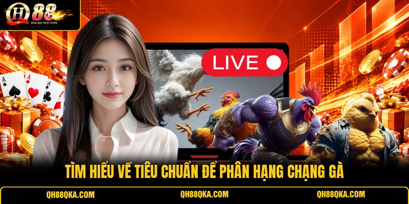 Tìm hiểu về tiêu chuẩn để phân hạng chạng gà Tìm hiểu về tiêu chuẩn để phân hạng chạng gà